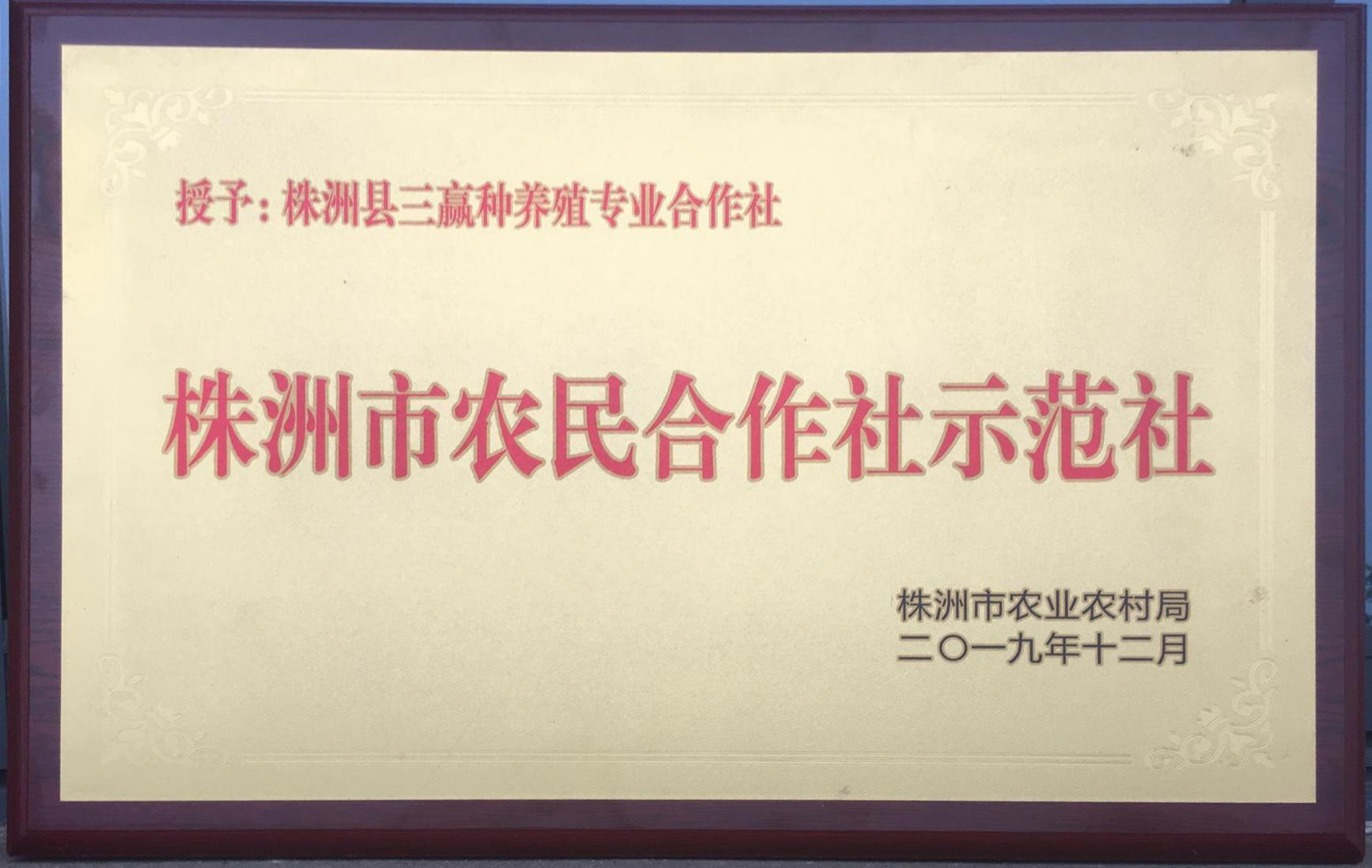 201912株洲县三赢种养殖专业合作社株洲市农民合作社示范社（牌）