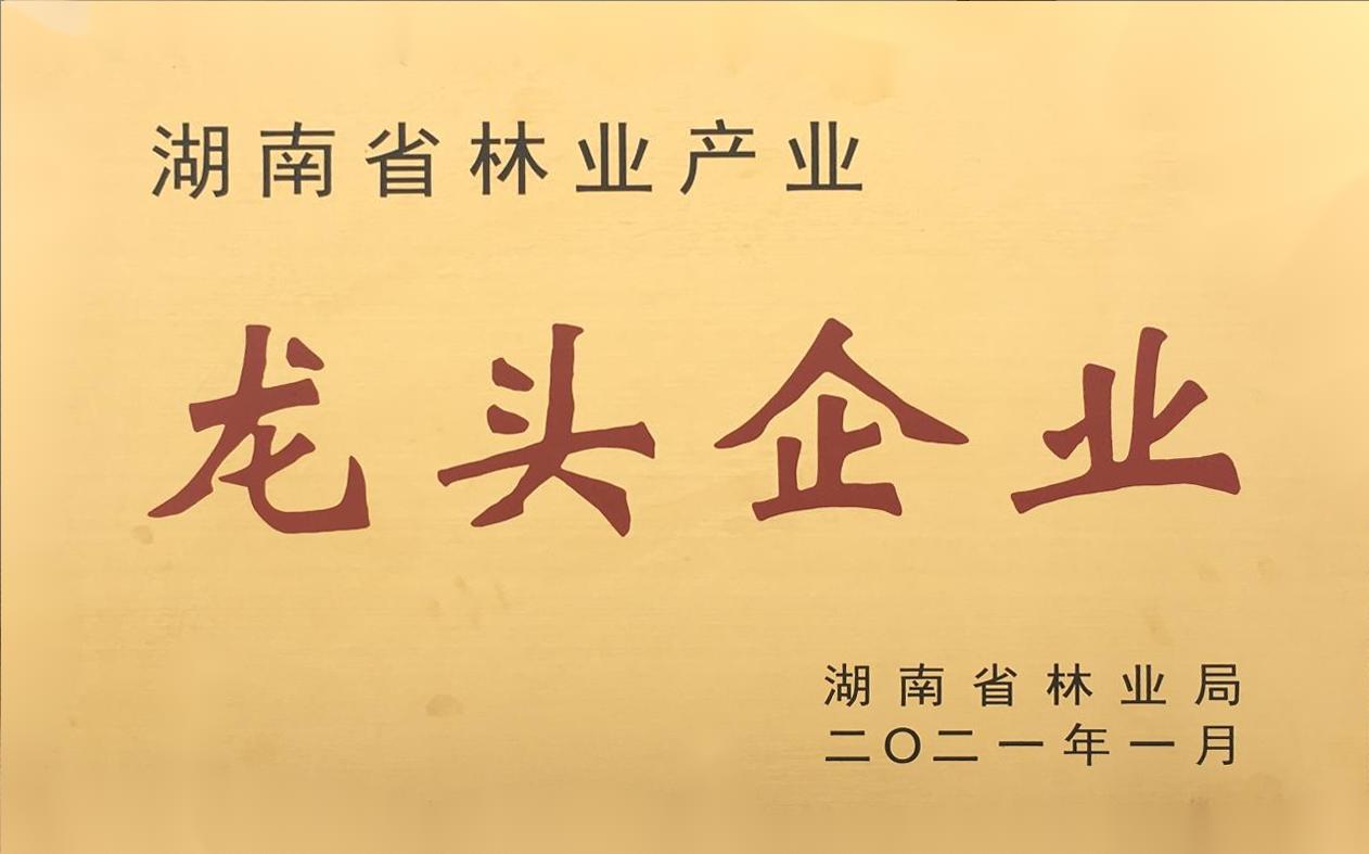 202101湖南省林业产业龙头企业（牌）