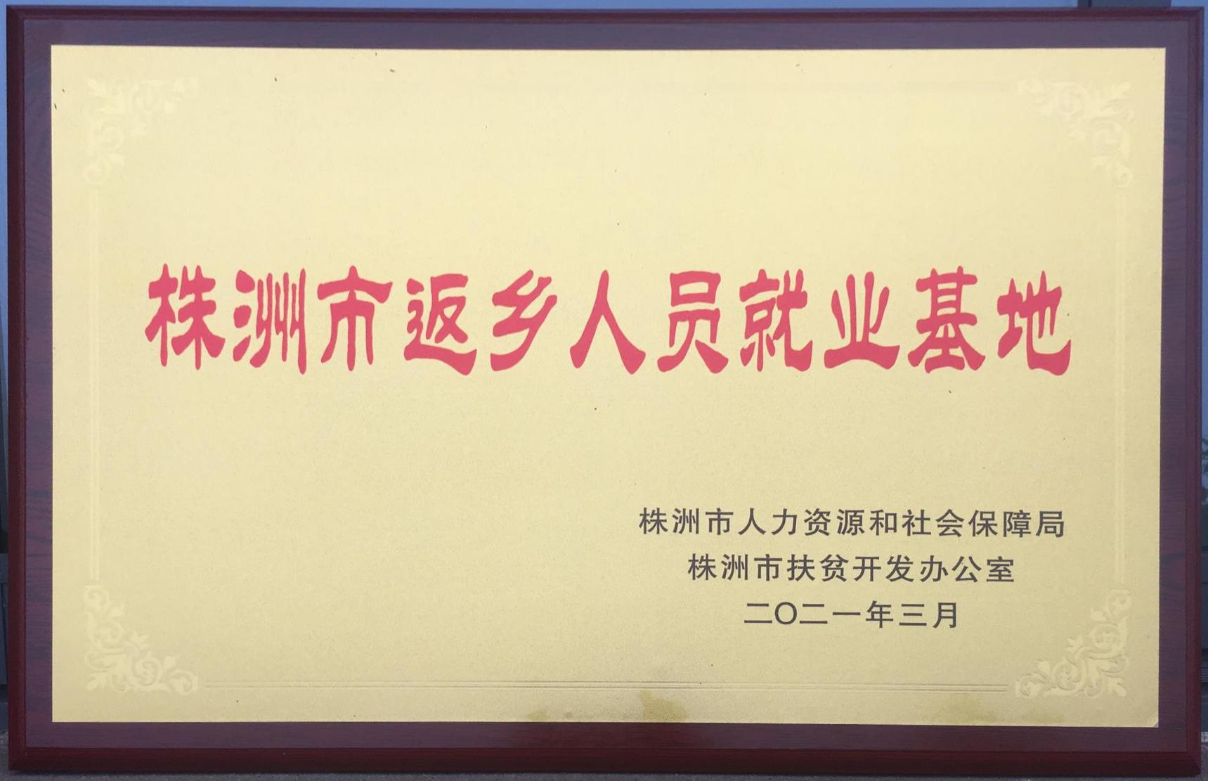 202103株洲市返乡人员就业基地（牌）